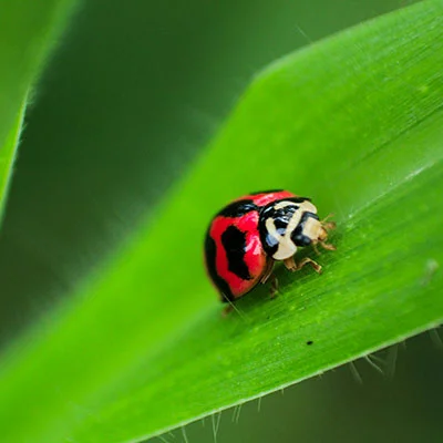 全面解析V2Ray连接故障：从诊断到修复的完整指南