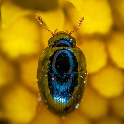 深度解析与实操指南：v2rayng免费节点每日更新全攻略（12.11版本详解）